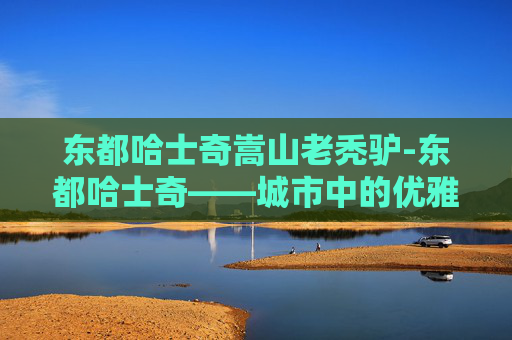 东都哈士奇嵩山老秃驴-东都哈士奇——城市中的优雅流浪者