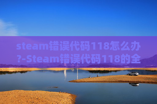 steam错误代码118怎么办?-Steam错误代码118的全面解析