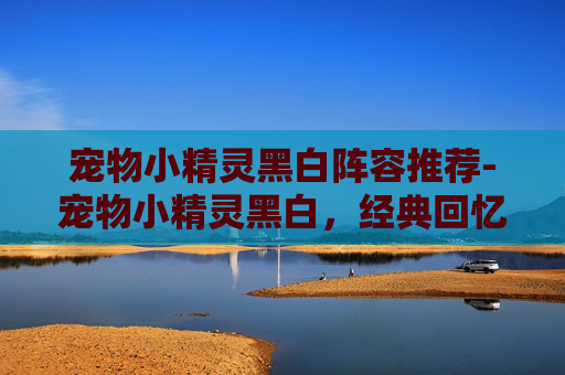 宠物小精灵黑白阵容推荐-宠物小精灵黑白，经典回忆的现代重燃