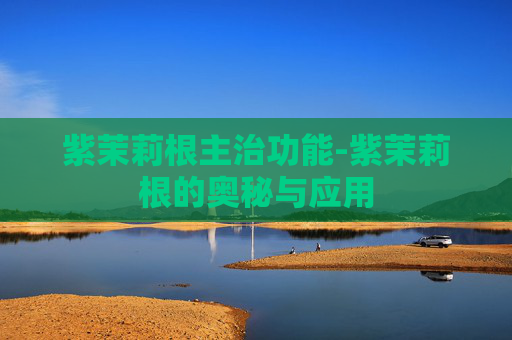 紫茉莉根主治功能-紫茉莉根的奥秘与应用