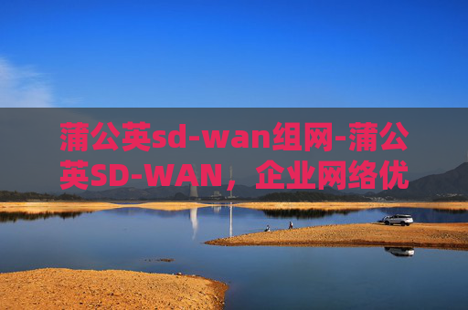 蒲公英sd-wan组网-蒲公英SD-WAN，企业网络优化的革新力量