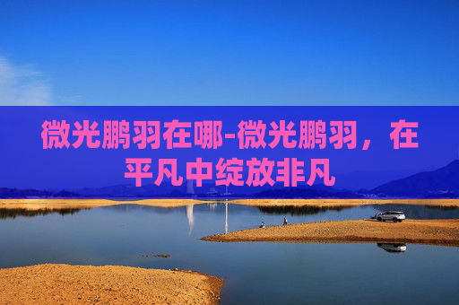 微光鹏羽在哪-微光鹏羽，在平凡中绽放非凡