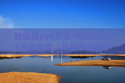 敏锐贼pve天赋-敏锐贼PVE天赋指南，从新手到高手的完美选择