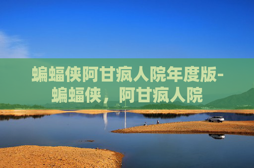 蝙蝠侠阿甘疯人院年度版-蝙蝠侠，阿甘疯人院