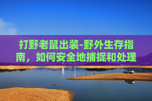 打野老鼠出装-野外生存指南，如何安全地捕捉和处理野老鼠