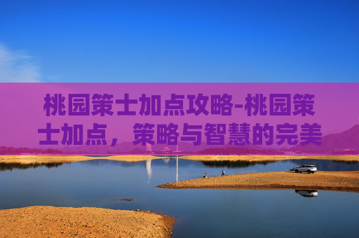 桃园策士加点攻略-桃园策士加点，策略与智慧的完美融合