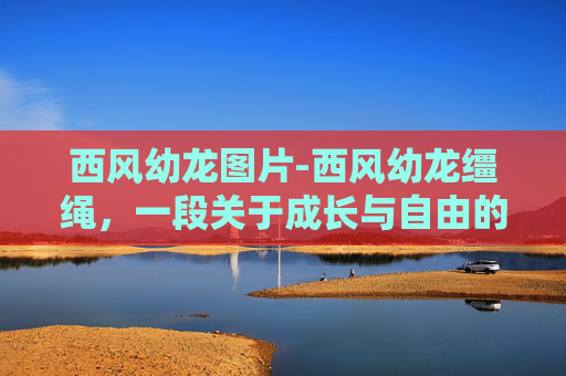 西风幼龙图片-西风幼龙缰绳，一段关于成长与自由的故事