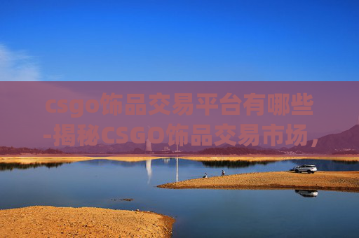 csgo饰品交易平台有哪些-揭秘CSGO饰品交易市场，机遇与风险并存