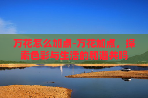 万花怎么加点-万花加点，探索色彩与生活的和谐共鸣