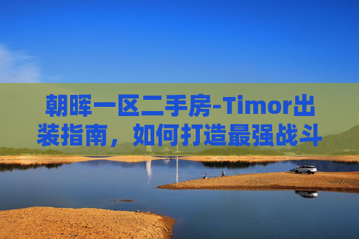 朝晖一区二手房-Timor出装指南，如何打造最强战斗阵容