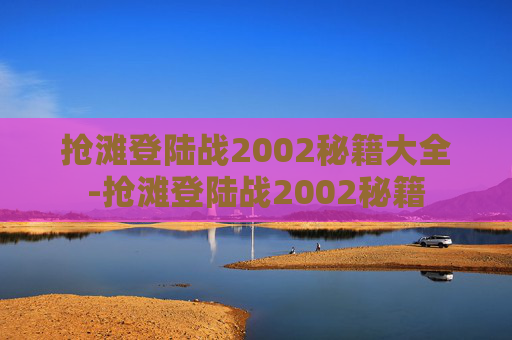抢滩登陆战2002秘籍大全-抢滩登陆战2002秘籍
