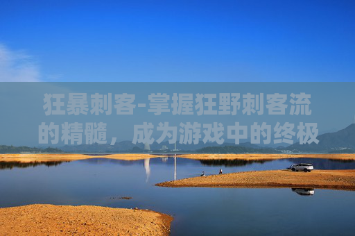 狂暴刺客-掌握狂野刺客流的精髓，成为游戏中的终极猎手
