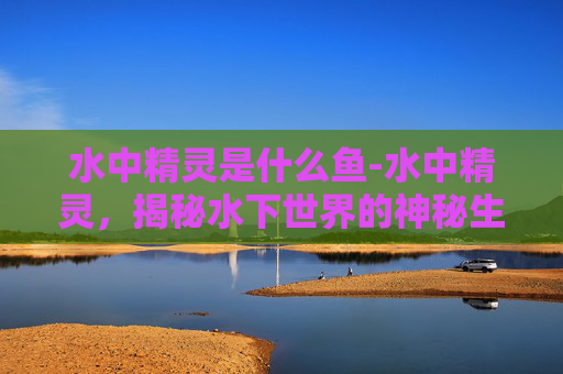 水中精灵是什么鱼-水中精灵，揭秘水下世界的神秘生物