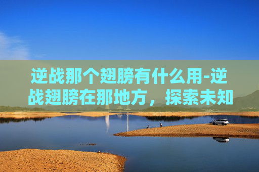 逆战那个翅膀有什么用-逆战翅膀在那地方，探索未知的神秘之地