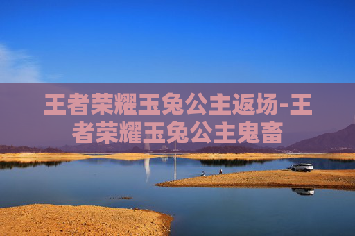 王者荣耀玉兔公主返场-王者荣耀玉兔公主鬼畜
