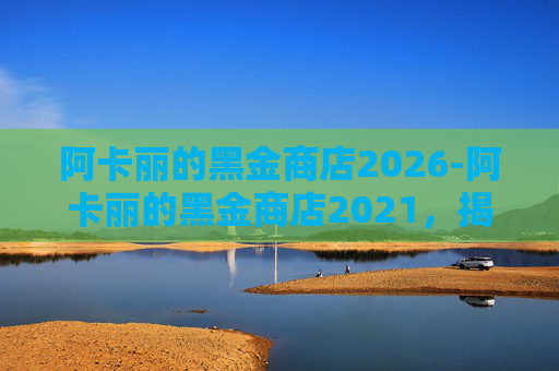 阿卡丽的黑金商店2026-阿卡丽的黑金商店2021，揭秘游戏中的隐藏财富