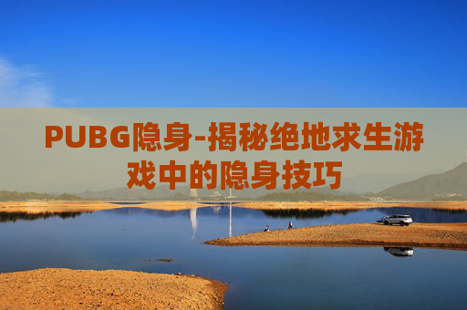 PUBG隐身-揭秘绝地求生游戏中的隐身技巧