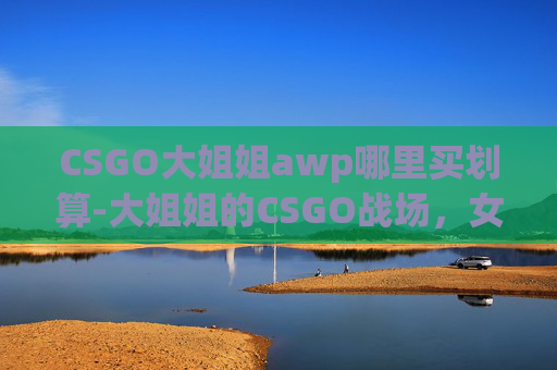 CSGO大姐姐awp哪里买划算-大姐姐的CSGO战场，女性玩家的独特视角与挑战