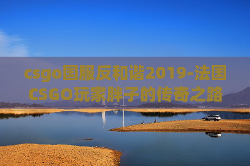 csgo国服反和谐2019-法国CSGO玩家胖子的传奇之路