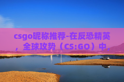 csgo昵称推荐-在反恐精英，全球攻势（CS:GO）中，如何成为村名？