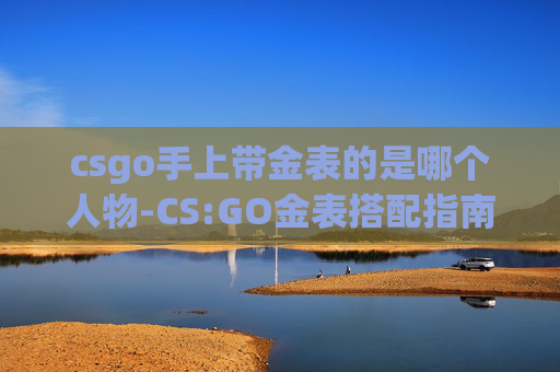 csgo手上带金表的是哪个人物-CS:GO金表搭配指南 csgo手上带金表的是哪个人物-CS:GO金表搭配指南