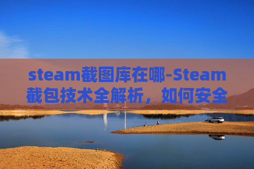steam截图库在哪-Steam截包技术全解析，如何安全地获取游戏内容