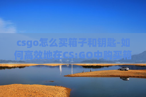 csgo怎么买箱子和钥匙-如何高效地在CS:GO中购买箱子？