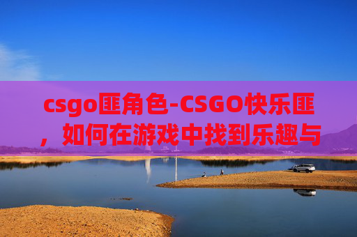 csgo匪角色-CSGO快乐匪，如何在游戏中找到乐趣与挑战