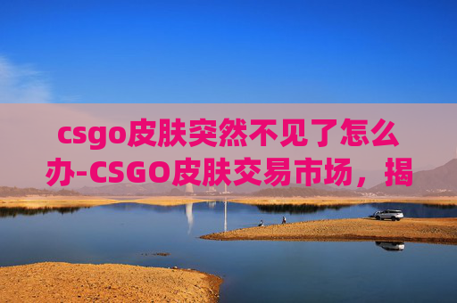 csgo皮肤突然不见了怎么办-CSGO皮肤交易市场，揭秘游戏内经济与玩家行为