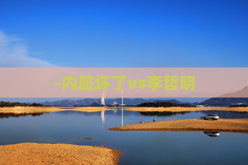 -内脏坏了vs李哲明