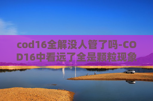 cod16全解没人管了吗-COD16中看远了全是颗粒现象的解析与应对策略