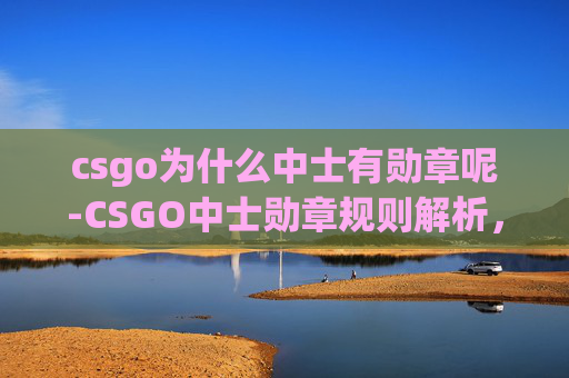 csgo为什么中士有勋章呢-CSGO中士勋章规则解析，从等级构成到影响机制，揭开该勋章背后的价值逻辑