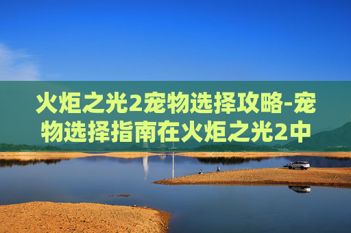 火炬之光2宠物选择攻略-宠物选择指南在火炬之光2中,如何挑选最适合你的宠物?