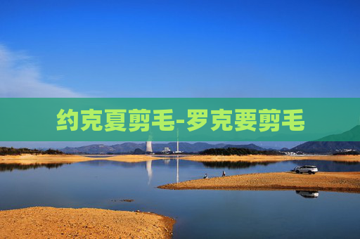 约克夏剪毛-罗克要剪毛