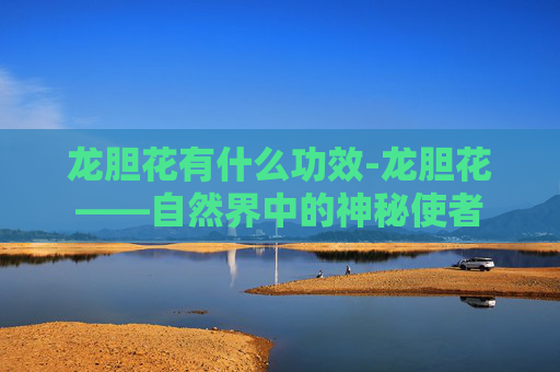 龙胆花有什么功效-龙胆花——自然界中的神秘使者
