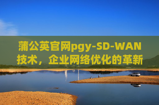 蒲公英官网pgy-SD-WAN技术，企业网络优化的革新之路