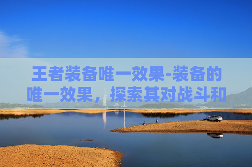 王者装备唯一效果-装备的唯一效果，探索其对战斗和策略的影响