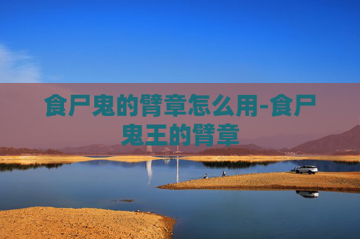 食尸鬼的臂章怎么用-食尸鬼王的臂章