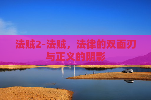 法贼2-法贼，法律的双面刃与正义的阴影