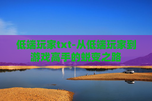 低端玩家txt-从低端玩家到游戏高手的蜕变之路