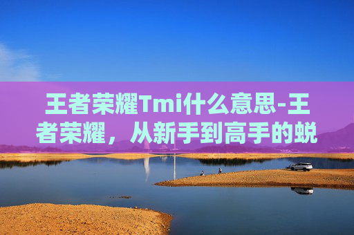 王者荣耀Tmi什么意思-王者荣耀，从新手到高手的蜕变之路