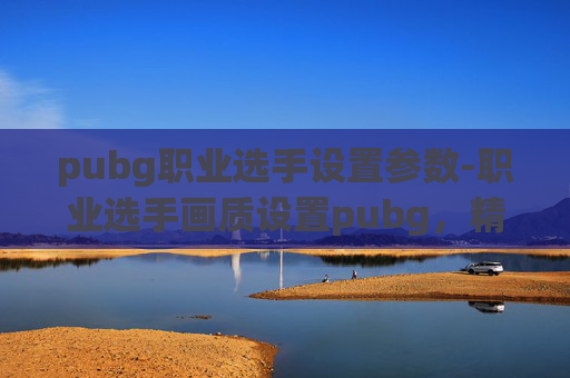 pubg职业选手设置参数-职业选手画质设置pubg，精准平衡画质与竞技体验的实操指南