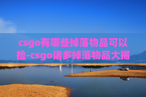 csgo有哪些掉落物品可以捡-csgo诸多掉落物品大揭秘，全面解析值得关注的稀有与实用资源