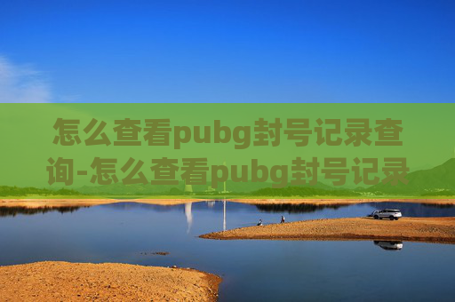 怎么查看pubg封号记录查询-怎么查看pubg封号记录？掌握方法避免封号带来的严重后果