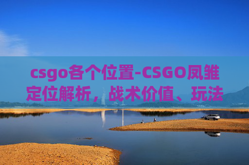 csgo各个位置-CSGO凤雏定位解析，战术价值、玩法适配与实战收益全面梳理