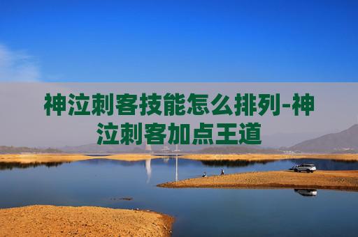 神泣刺客技能怎么排列-神泣刺客加点王道