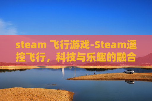 steam 飞行游戏-Steam遥控飞行，科技与乐趣的融合体验，畅游专属飞行世界
