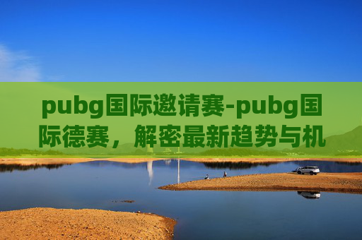 pubg国际邀请赛-pubg国际德赛，解密最新趋势与机遇