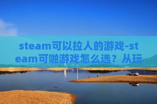 steam可以拉人的游戏-steam可啪游戏怎么选？从玩法到适配，一步搞懂这些不踩坑的选择指南