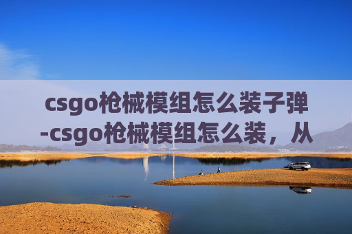 csgo枪械模组怎么装子弹-csgo枪械模组怎么装，从入门到精通，轻松解锁专属战局荣耀